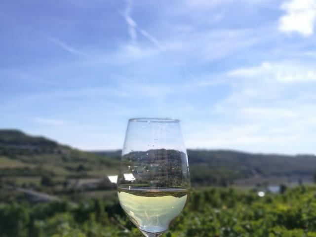 Rando du Schluck - Vin de Moselle