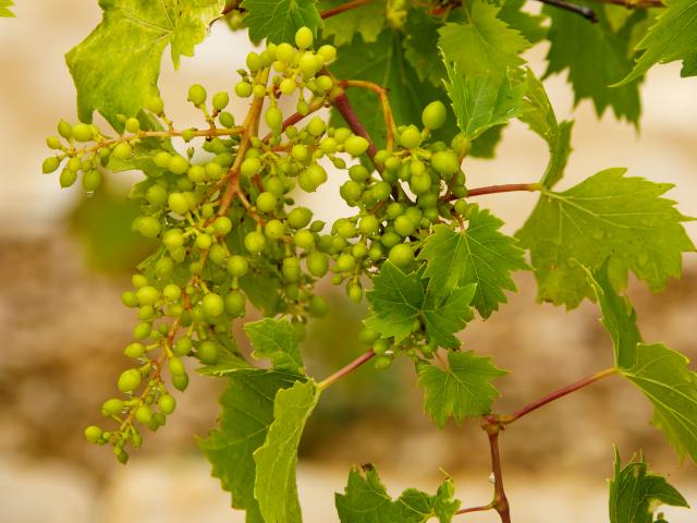 Quartier de Guentrange