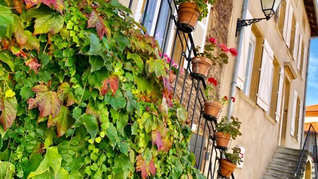 Quartier de Guentrange