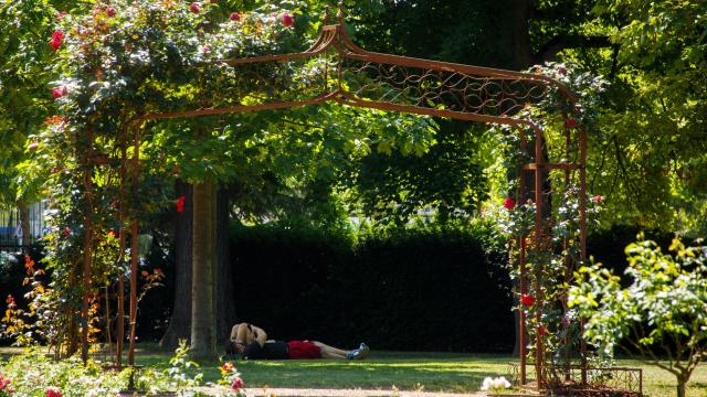 Parc Napoléon