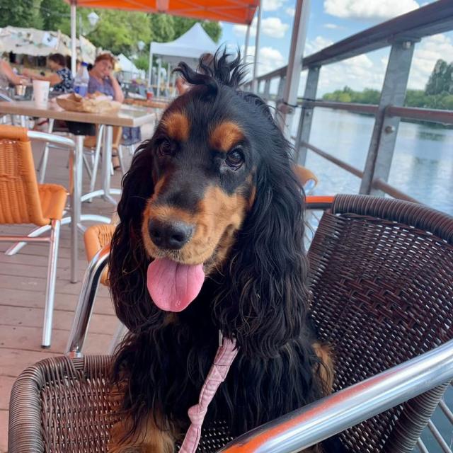 331412256_927760441568101_2905297358137583463_n