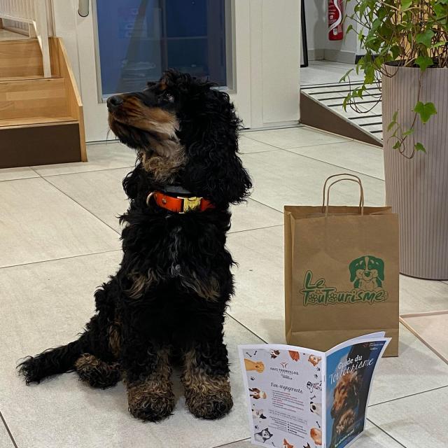 331483596_1239490323642536_2825460162670633733_n