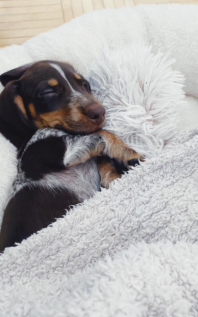 pexels-natalie-dupin-10846799