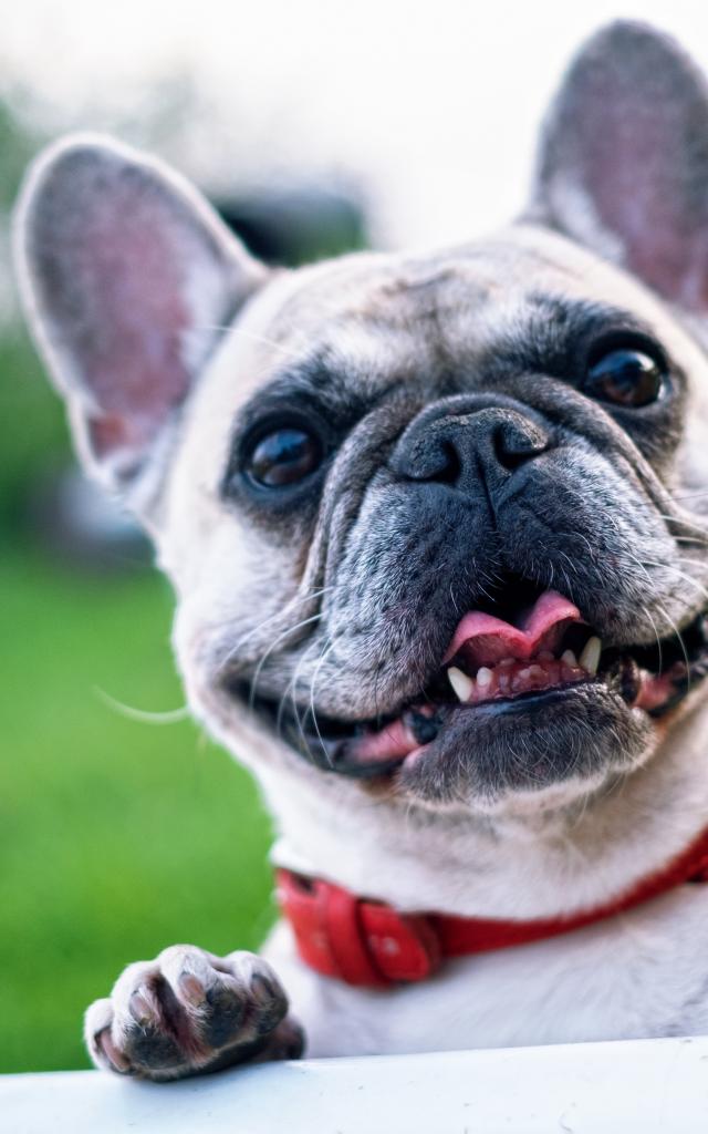 pexels-pixabay-160846