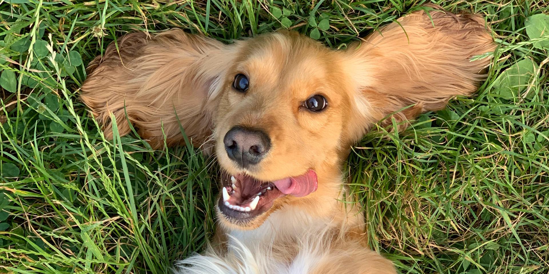 ralu-gal-G8cB8hY3yvU-unsplash