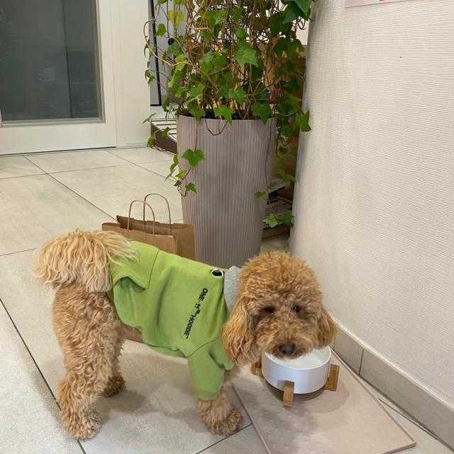 334221421_102918156059106_3046321399044086714_n