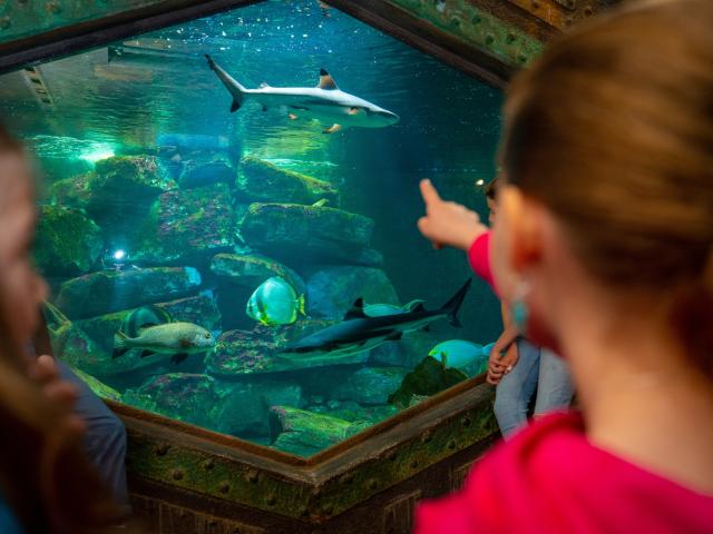 364624684 776722964459345 48092167046798808 N