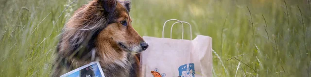 Toutouriste au Pays Thionvillois