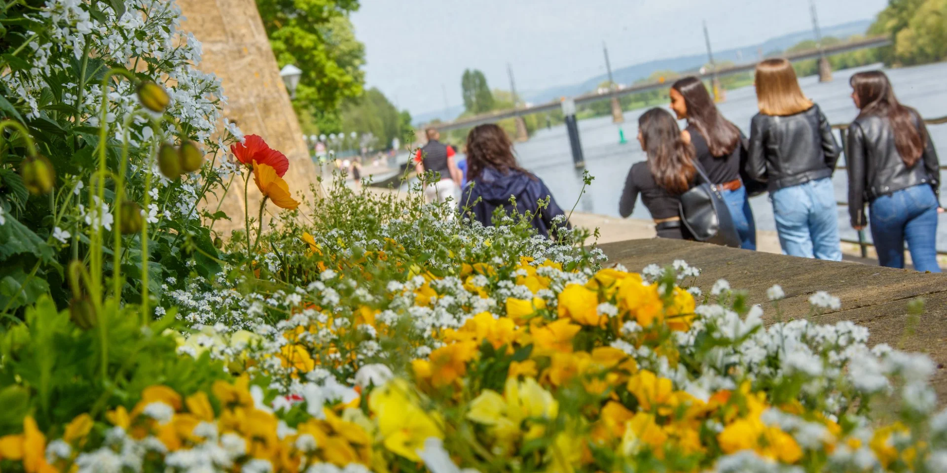 Berges de Moselle - Thionville
