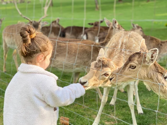 Complexe de Bétange