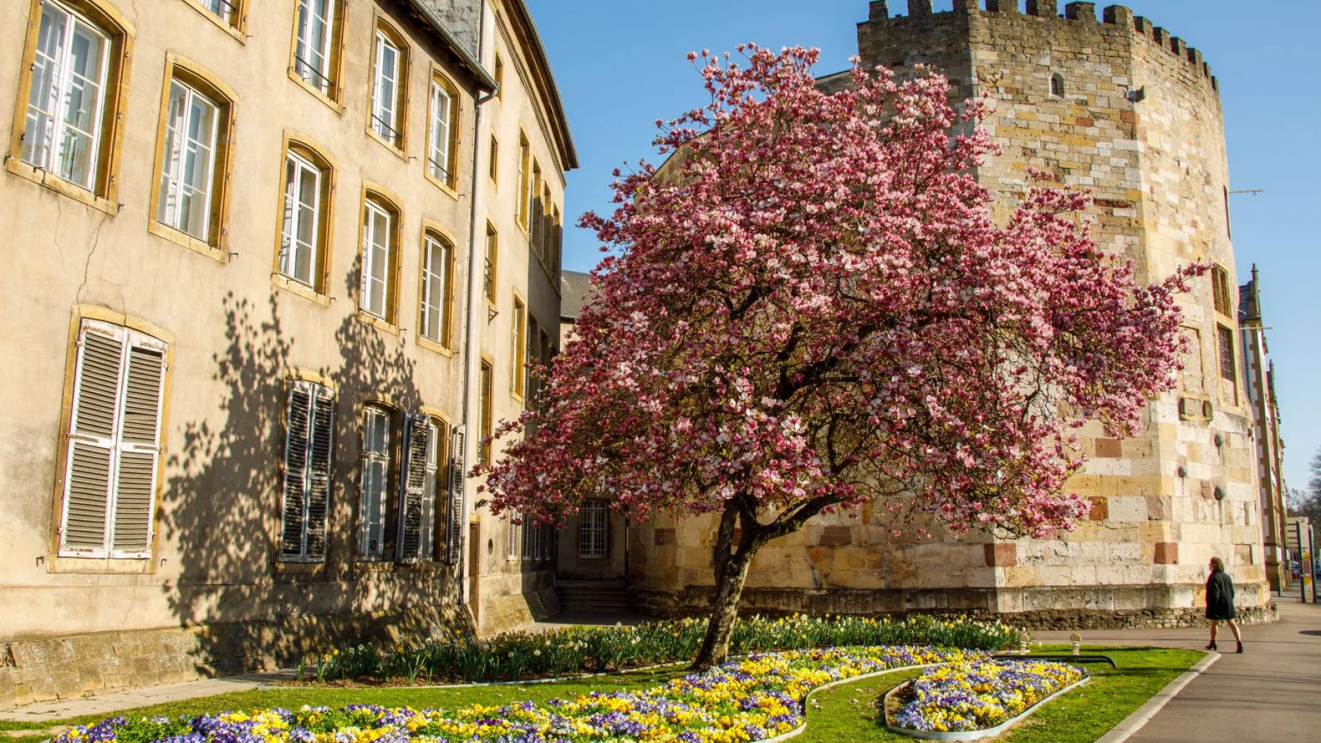 485722155 1216084747189829 7562866468642986157 N