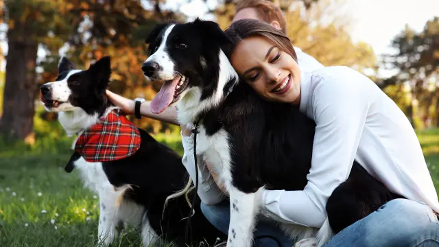 Beautiful brunette playing with her cute dog in nature during sunset