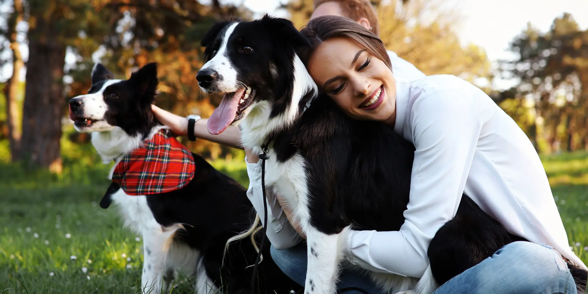 Beautiful brunette playing with her cute dog in nature during sunset