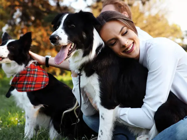 Beautiful brunette playing with her cute dog in nature during sunset