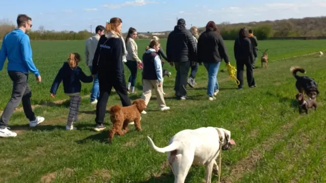 Balade éducative chien
