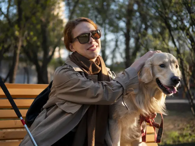 chien guide