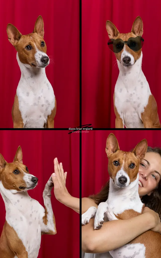 Studio photo canin Photobooth